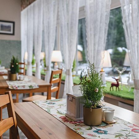 Hotel Ow Jaskolka Zakopane Exteriér fotografie