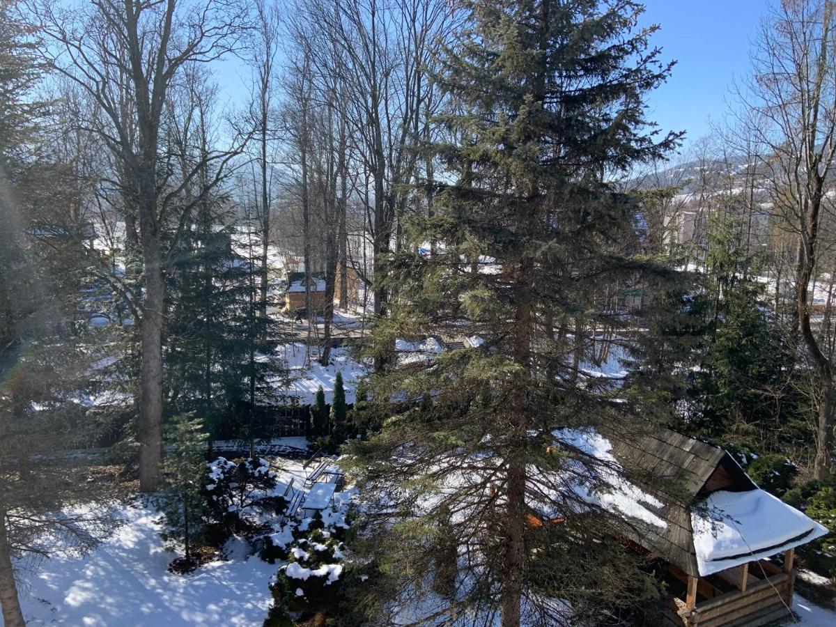 Hotel Ow Jaskolka Zakopane Exteriér fotografie