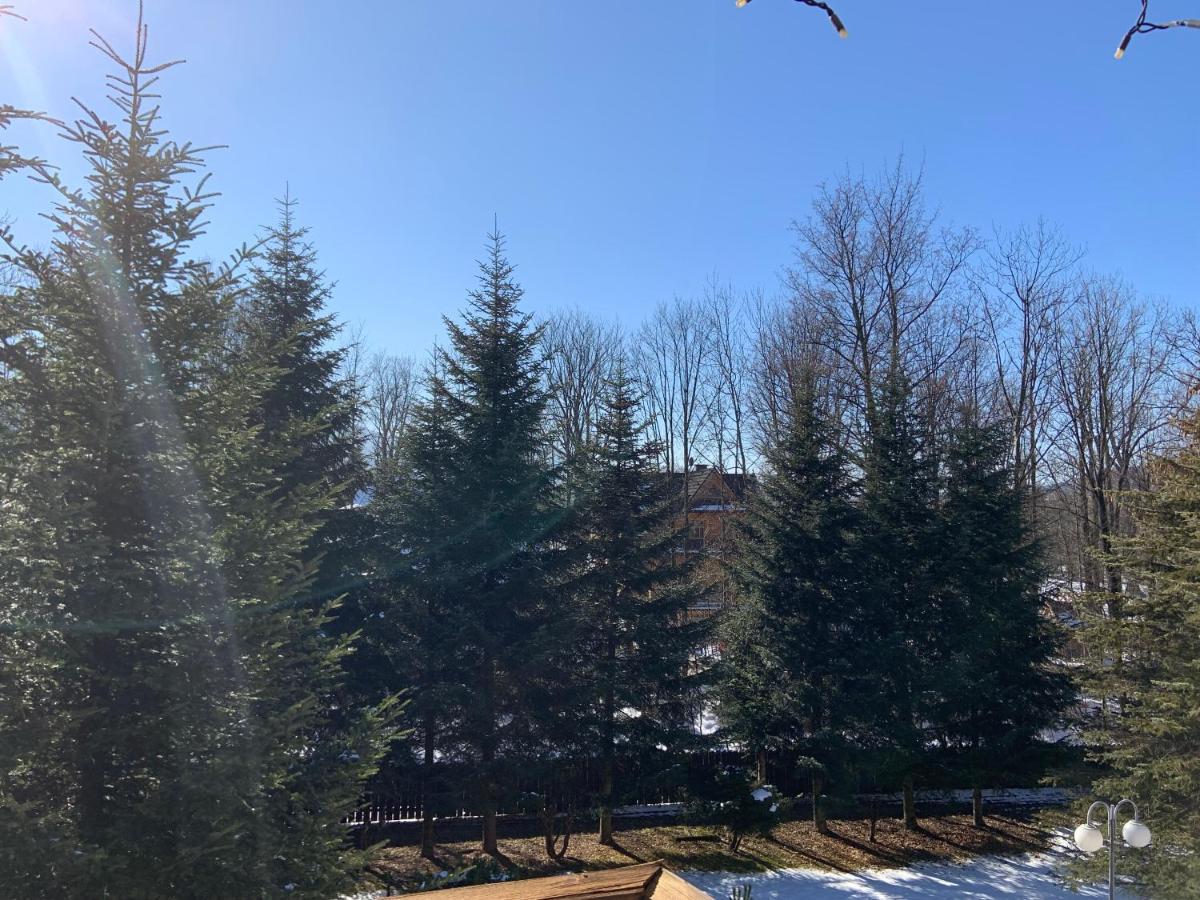 Hotel Ow Jaskolka Zakopane Exteriér fotografie