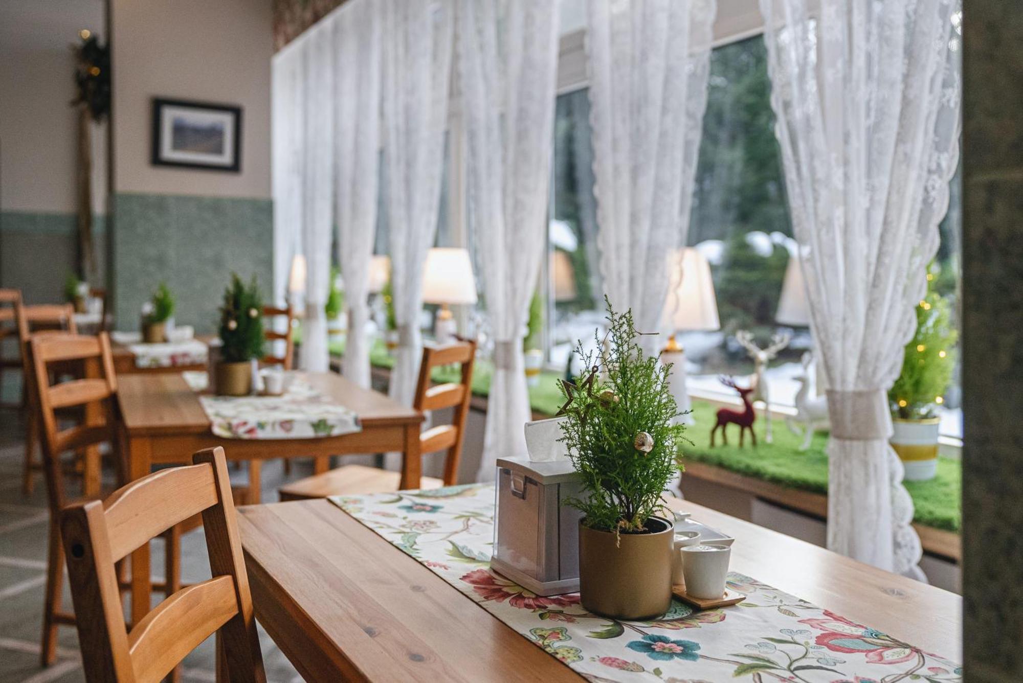 Hotel Ow Jaskolka Zakopane Exteriér fotografie